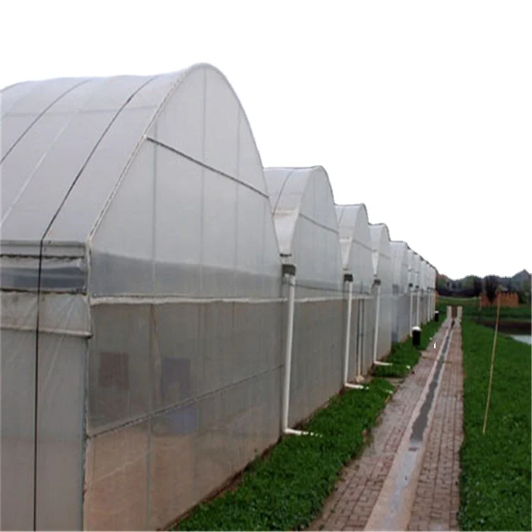 تخصيص الدفيئة الخضروات المتعددة تزايد نفق فيلم الدفيئة فيلم بلاستيكي زراعي بولي كلوريد الفينيل مقاومة للأشعة فوق البنفسجية نفق بولي #4