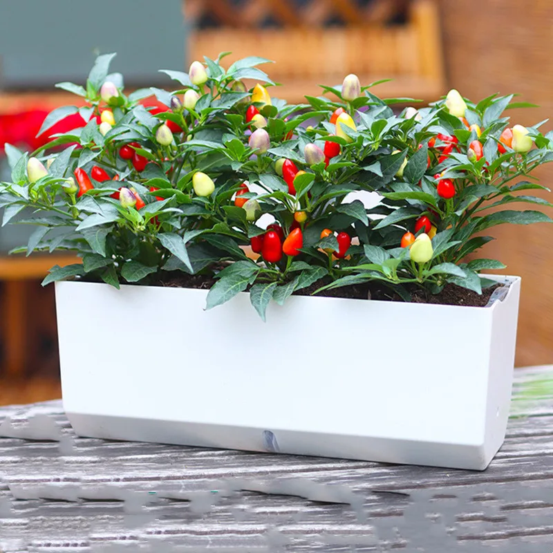 Self-Watering Planter Pots Rectangular Flower Pot New with Tray Drain Hole Vegetable Planter Garden Supplies Rectangular Planter