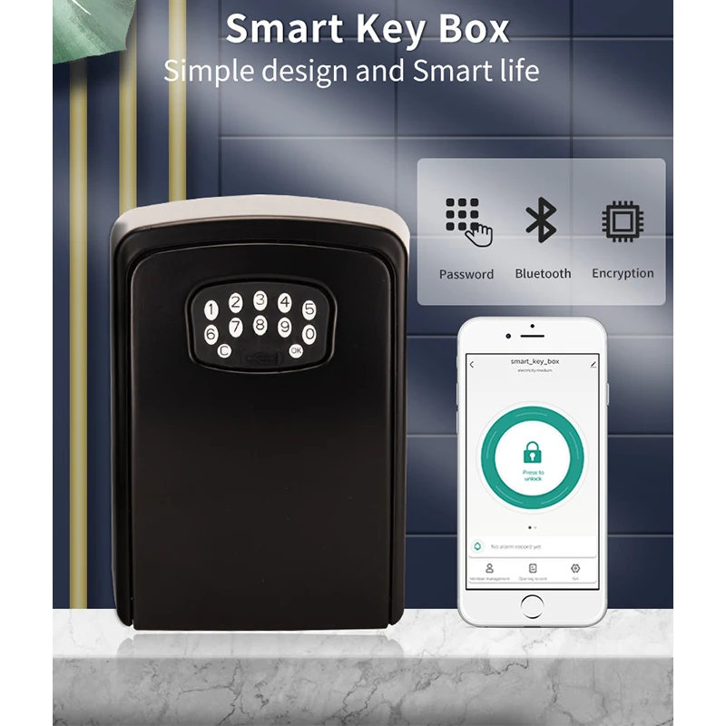 RAYKYBE Smart KeyBox Tuya Bluetooth Fingerprint Password Digitals Hard Aluminum Alloy Safe Waterproof Different Model