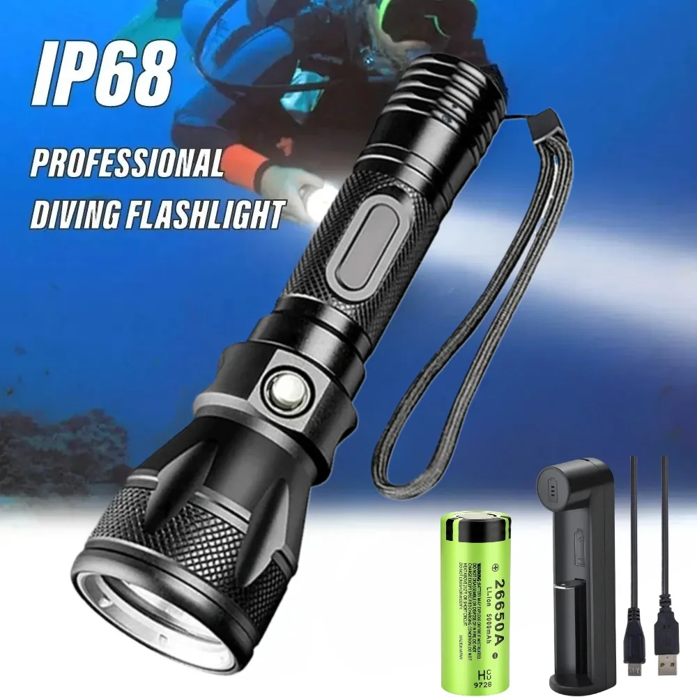Professional Scuba …