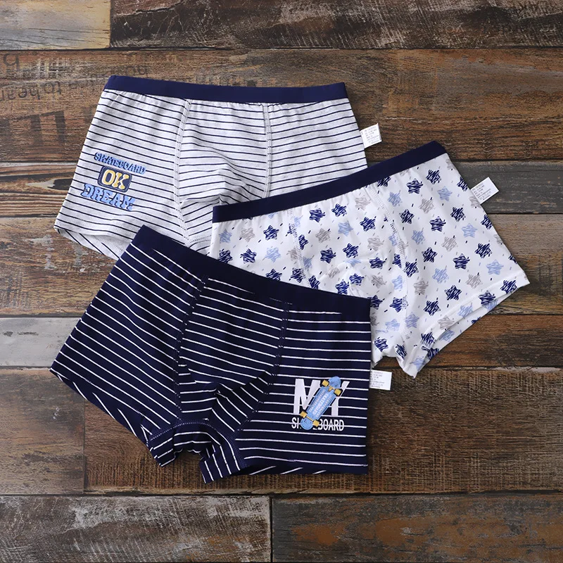 3 Pcs/pack Teen Underwear Cotton Plaid Short Panties for Kids Boys Cotton Children Cartoon Lion Boxer Shorts Young Boy Underpant