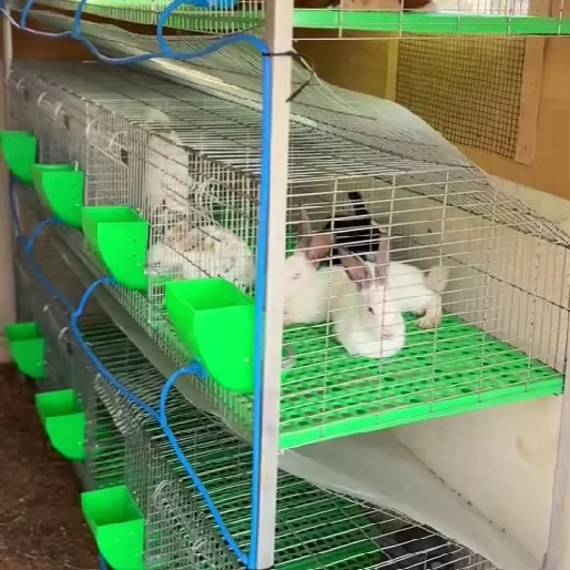 

Heavy-Duty Galvanized Meat Rabbit Cage for Commercial Fattening Farm Use