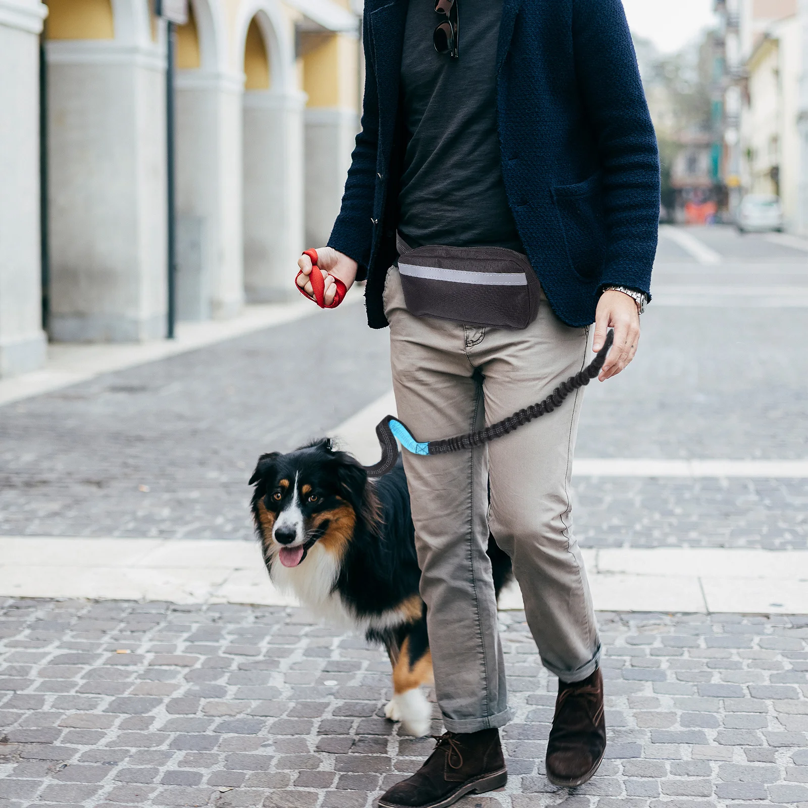 

1Set Pet Waist Bag with Leash for Dog Walking Running Reflective Bungee Design for Jogging Hiking Outdoor Pet Gear