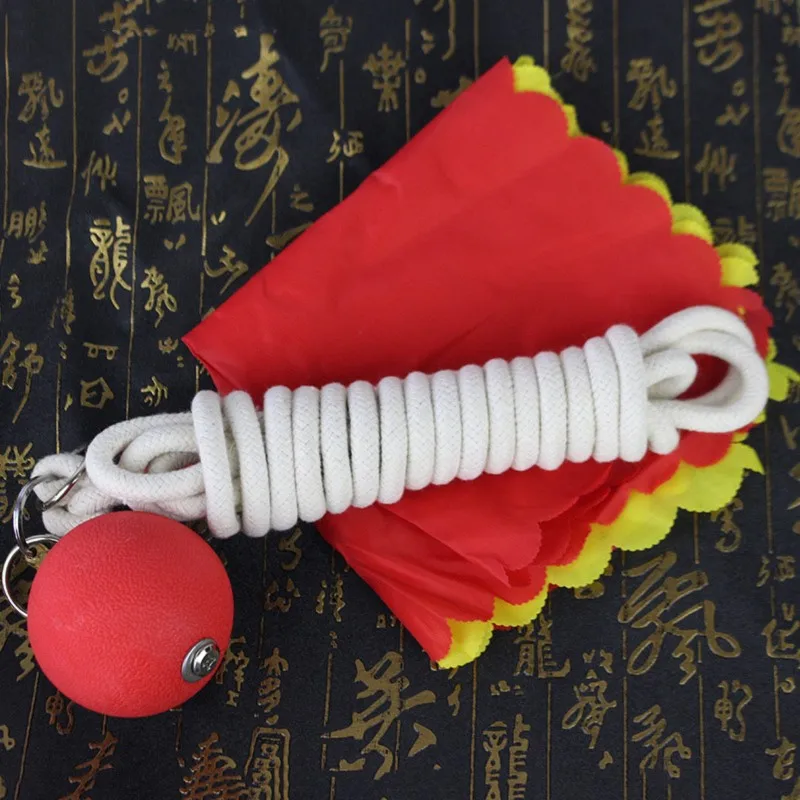 

Dropship-Rubber& Metal For Martial Arts Fitness Meteor Hammer Balls-Training Accessories For Combat Sports