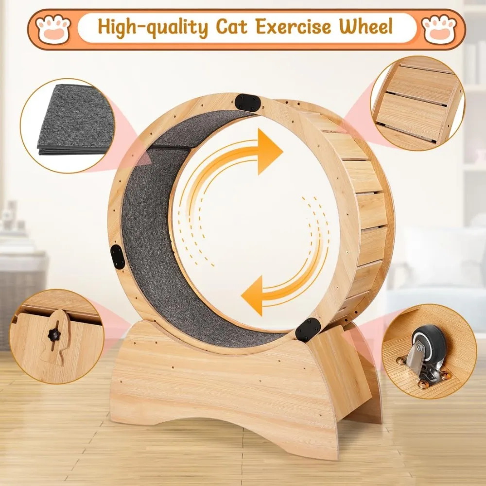 Cadre d'escalade en bois pour chat, roue de course pour chat, litière pour chat, roue de fitness pour chats d'intérieur, échelles d'escalade, Scratchi