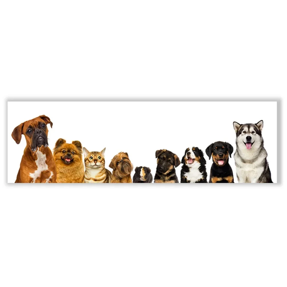 Nursery Decor Cat Dog Wall Decals Adorable Animal Design PVC Material Waterproof Easy Application Quick Installation