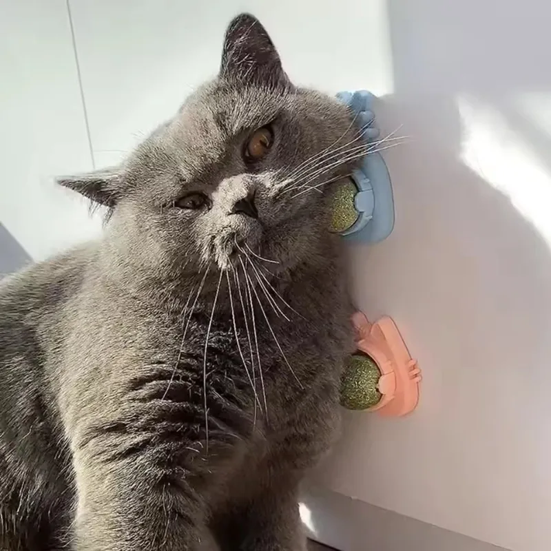 

Delight Your Feline Friends with Our Organic 3-Pack of Irresistibly Cute Silvervine Catnip Balls - Keep Your Indoor Cats Happy