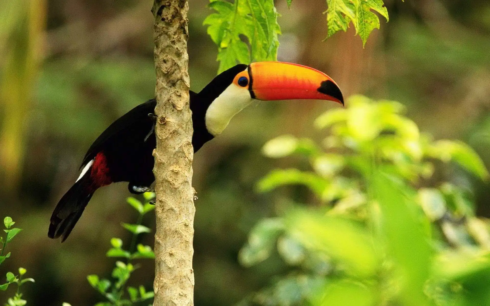 

Резиновые колеса/шины 66 мм для WPL, запчасти для радиоуправляемых машин 1/16, аксессуары для тюнинга