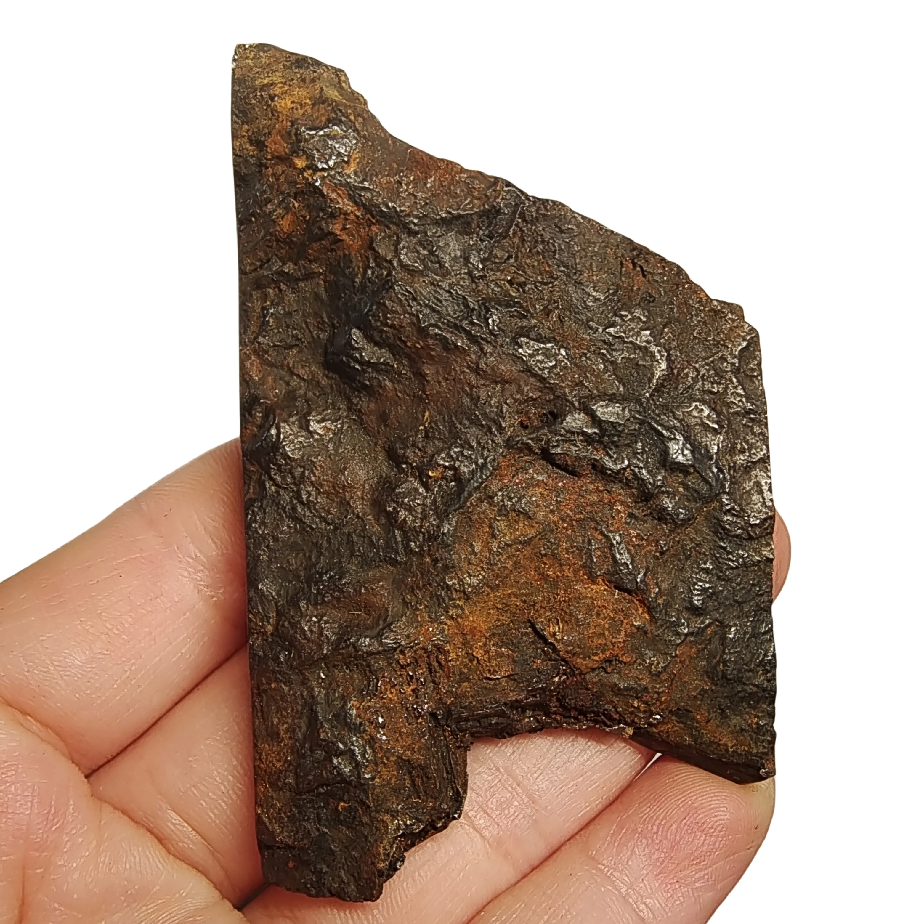 194.6g Muonionalusta Natural iron meteorite specimen section Iron meteorite materials Meteorite Specimen Collection -QC766
