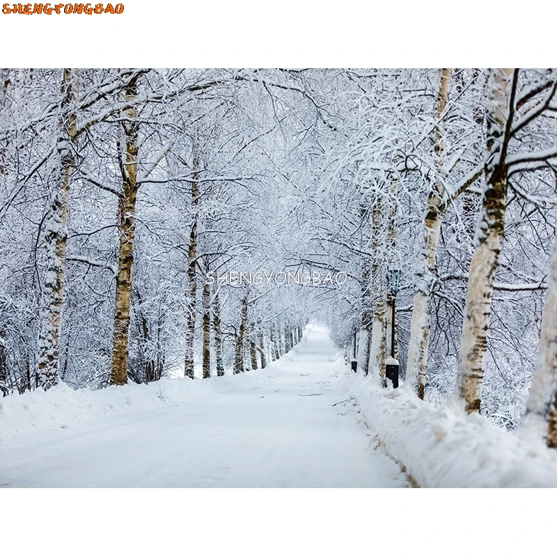 겨울 숲 눈 덮인 도로 사진 배경 흐릿한 풍경 눈송이 도로 가문비 나무 사진 배경 XD-05