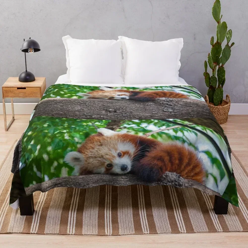 Red Panda Pose Throw Blanket Plaid on the sofa Hair Blankets