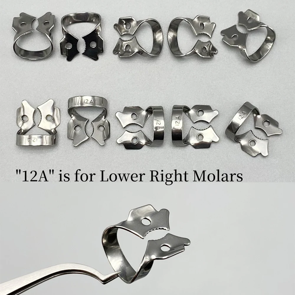 1/5/10 قطعة الأسنان المطاط السد المشابك 5 أحجام اللبية ترميم السد حامل قصاصة طب الأسنان مادة تقويم الأسنان 2A/8A/12A/13A #5