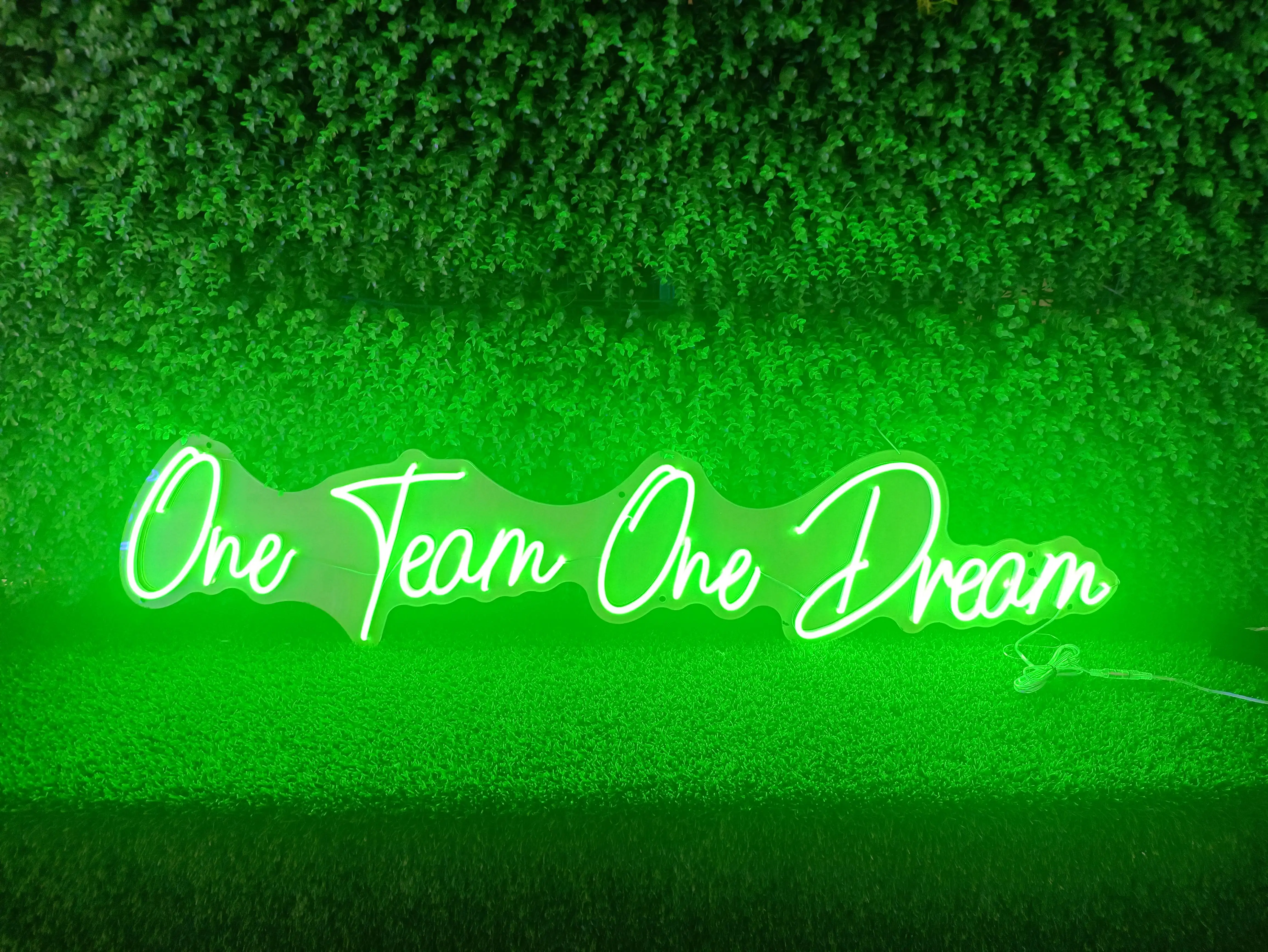 One Team One Dream Neon Sign Decor Custom Neon Letter Birthday Party Decor DIY Neon Name