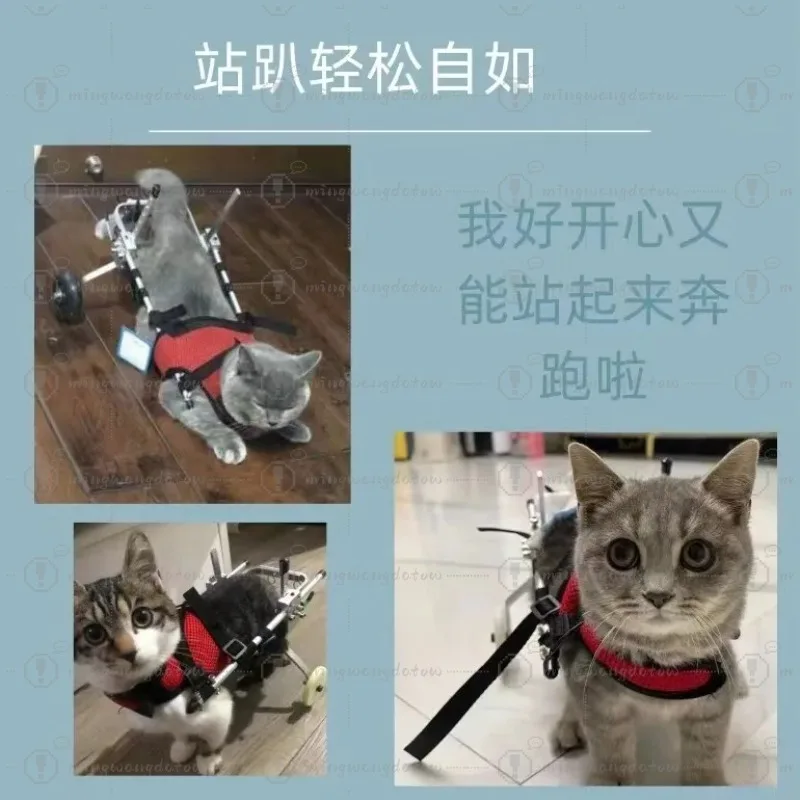 Cat Wheelchair Disabled Pet Two-wheeled Auxiliary Vehicle Elderly Cat Dog Rabbit Wheelchair Pet Hind Leg Hemiplegia Moped