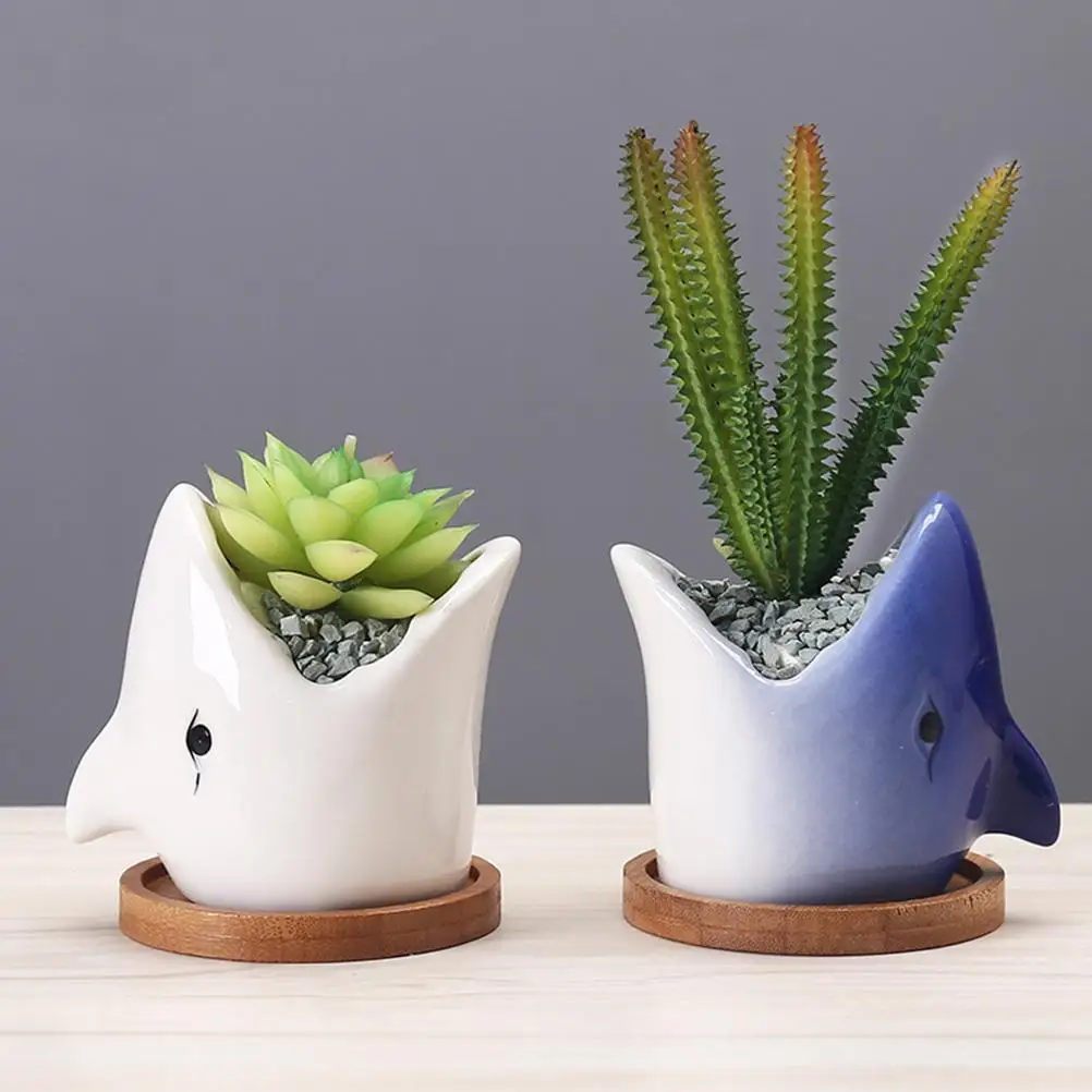 

Big Mouth Shark Planter Ceramic Succulent Flowerpot Bonsai Pot Small Plants Nursery Decor Durable Eco Friendly Bright Color