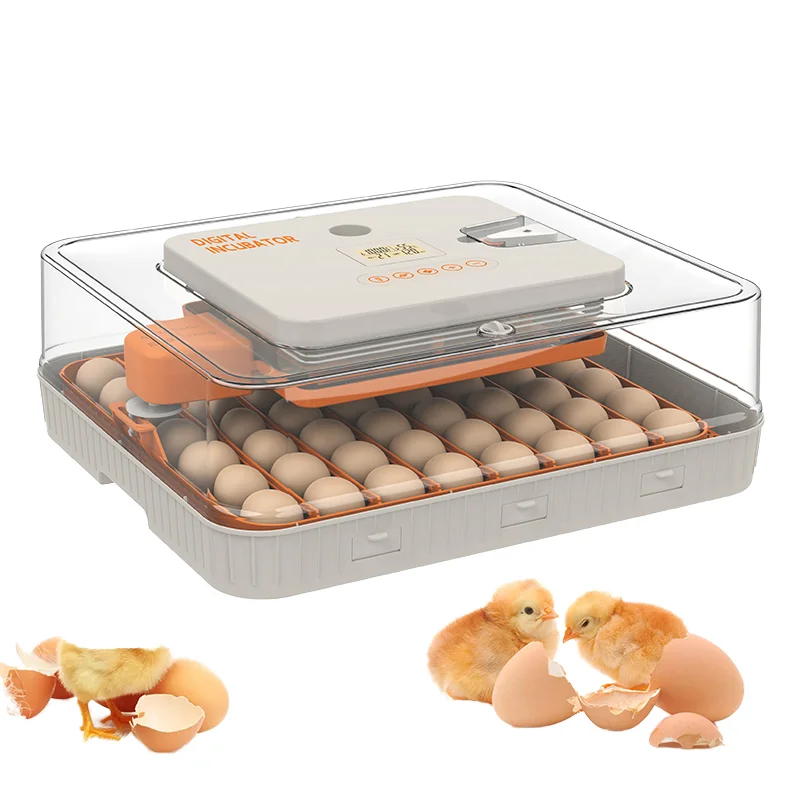 HHD 56H Incubator, WONEGG Hot Selling Cost-Efficient 56 Chicken Egg Hatching Machine