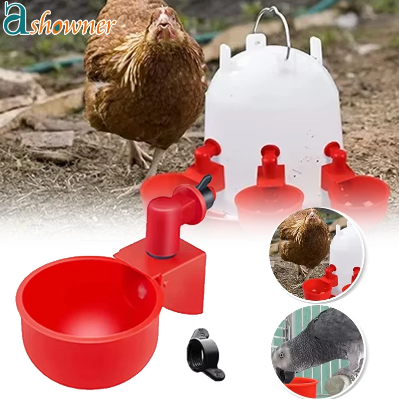 

Poultry Drinking Cup Automatic Waterer for Chickens Chicken Feeder Plastic Poultry Waterer Chicken Duck Goose Quail Waterer