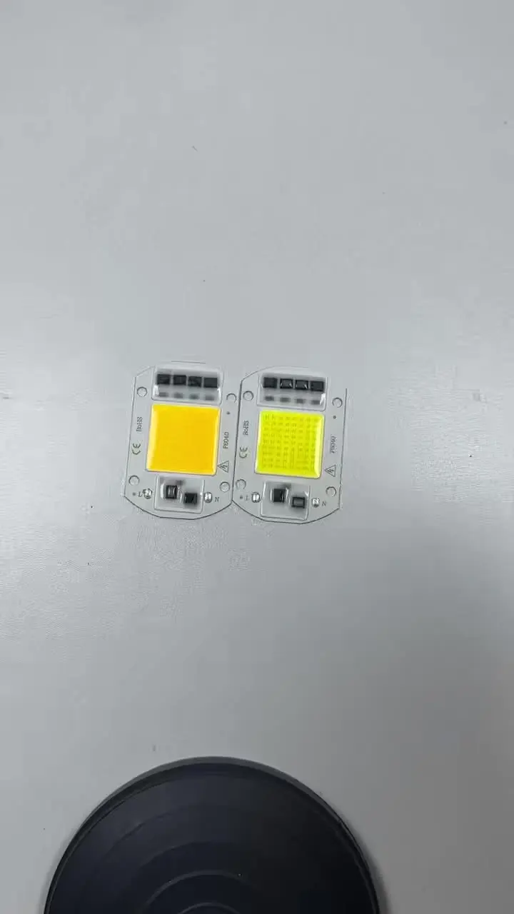 LED COB Lamp Bead 20W 30W 50W 220V IP65 Smart IC No Need Driver DIY Flood Light Led Bulb Spotlight Outdoor Chip Lamp Brightest