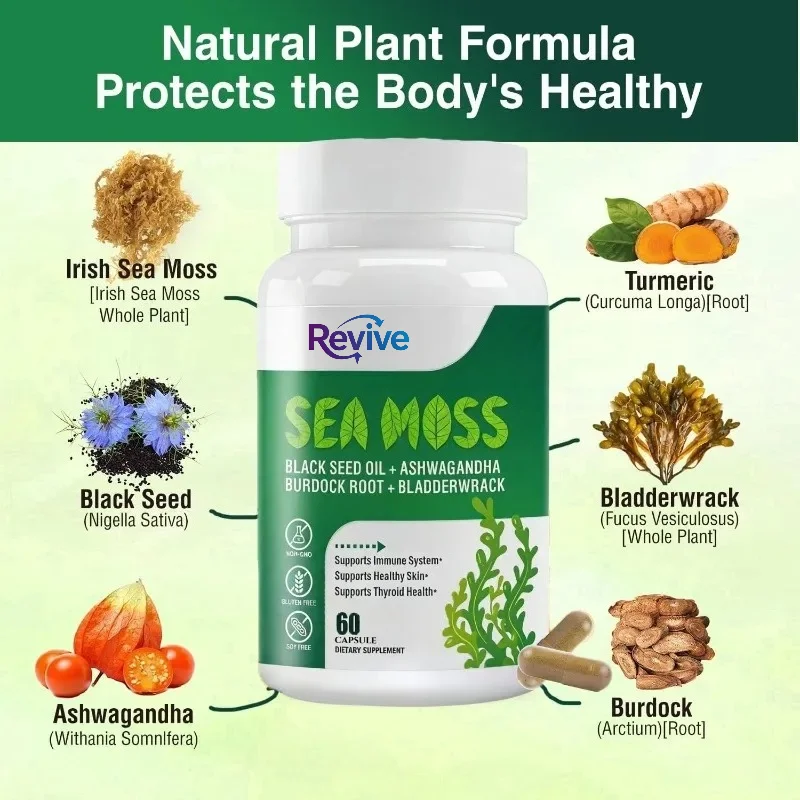 Black Seed Oil Capsule - Capsule di Alghe Irlandesi Contengono Clorella,
