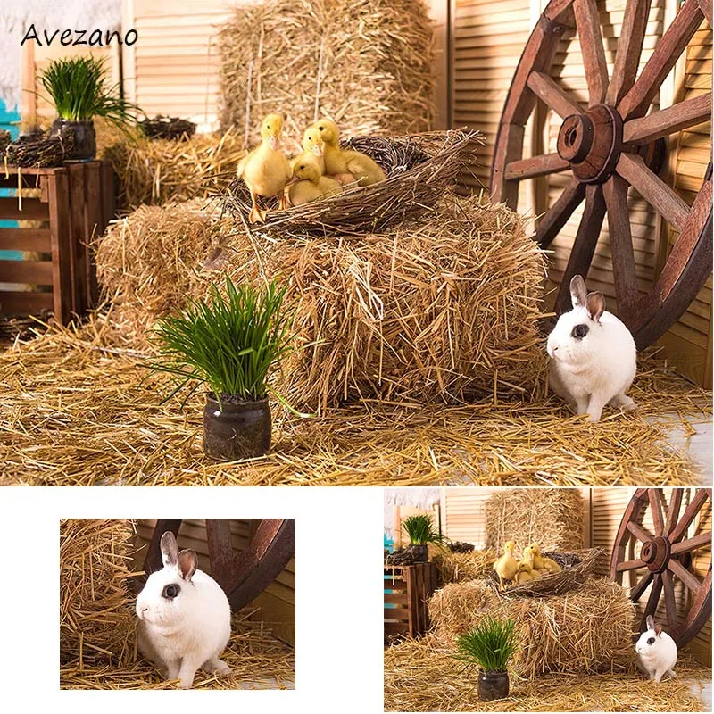 

Avezano Easter Backgrounds for Photography Rabbit Bunny Haystack Newborn Kids Portrait Backdrop Photo Studio Decor Photoshoot