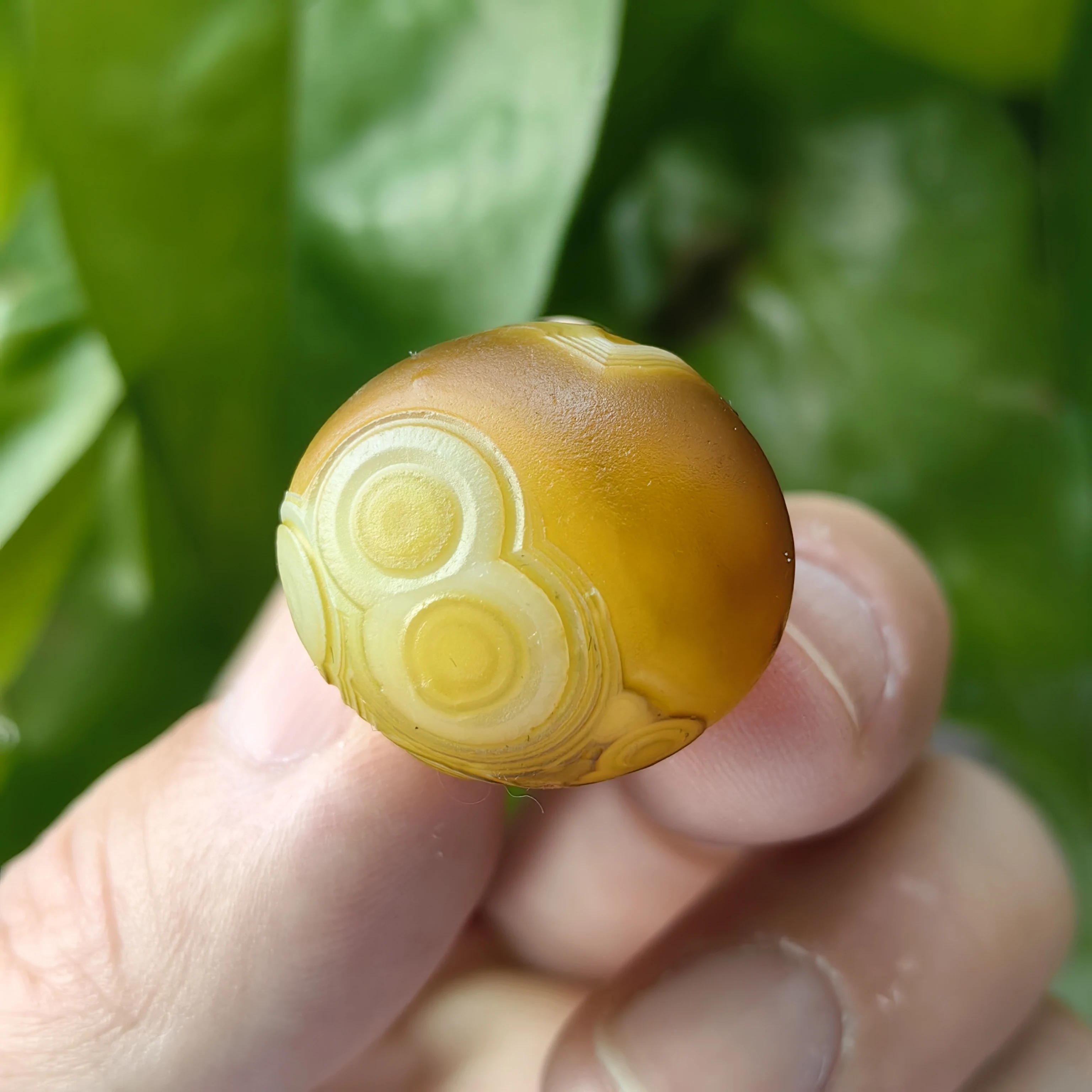 Pure Natural Divine…