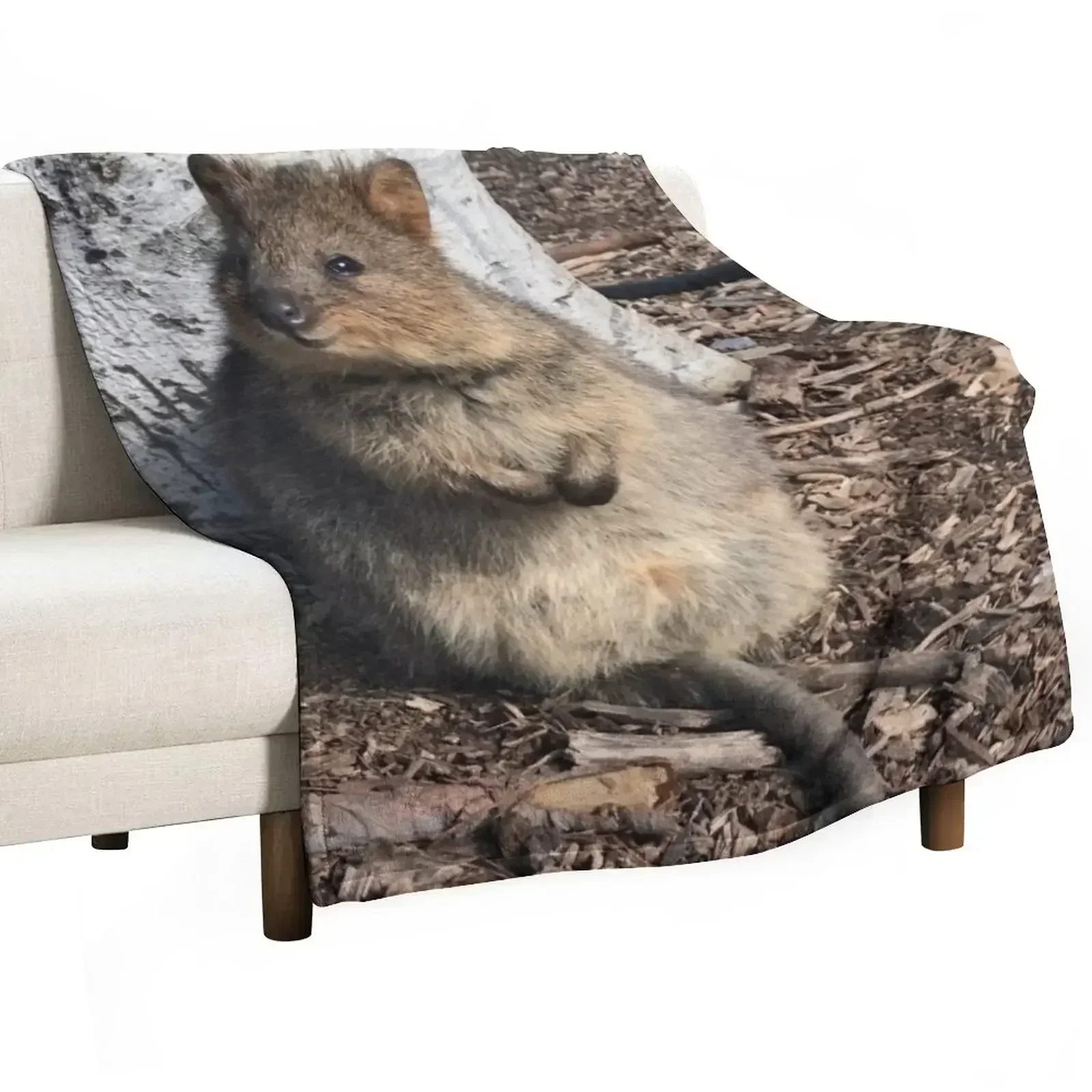 Quokka Throw Blanket Bed covers Plush Sofas decorative Blankets