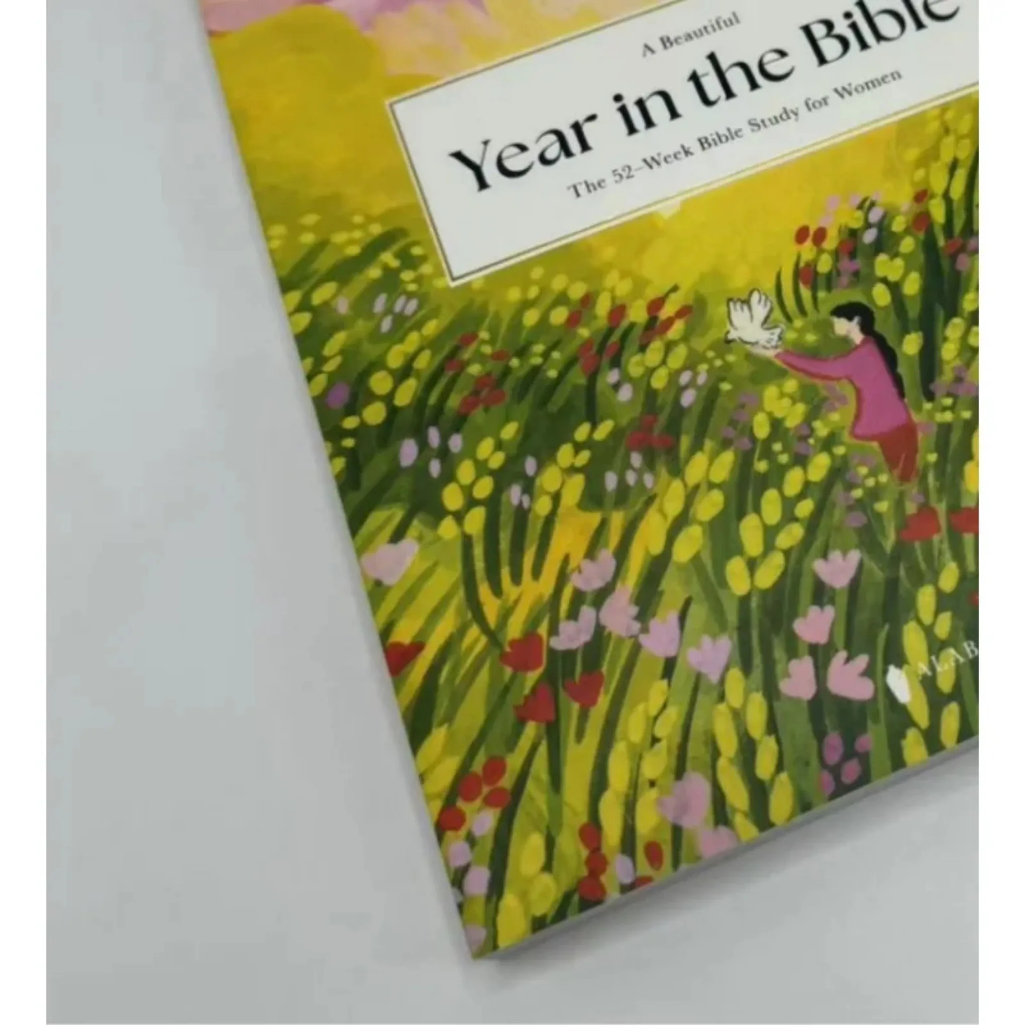 

Book A Beautiful Year In The Bible A 52 Week Bible Study For Women Women Bible Study Guide With Suggested Readings 72 sold