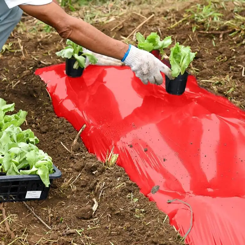 Garden Red Mulch Agriculture Crops Grow Red Mulch Plant Grow Film Cover Multifunctional For Potato Tomato Eggplant Strawberry