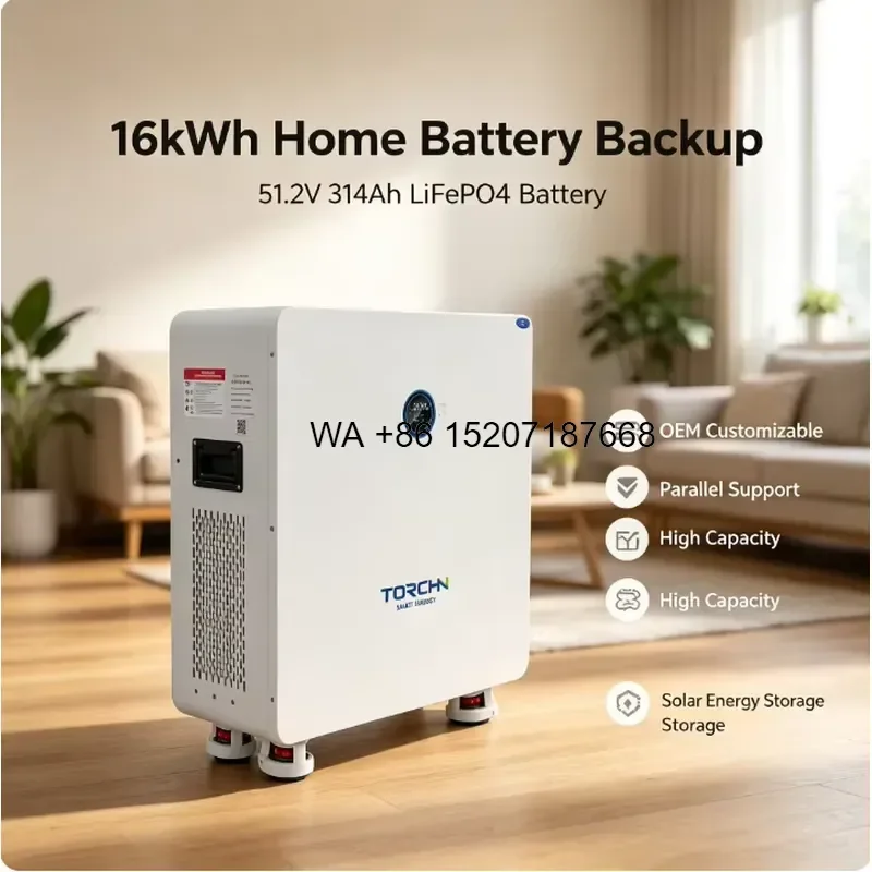 Wmwmnu 51.2V 314Ah 16kWh LiFePO4 Battery for Home Backup Solar Energy Storage Off Grid Setup Competitive Price