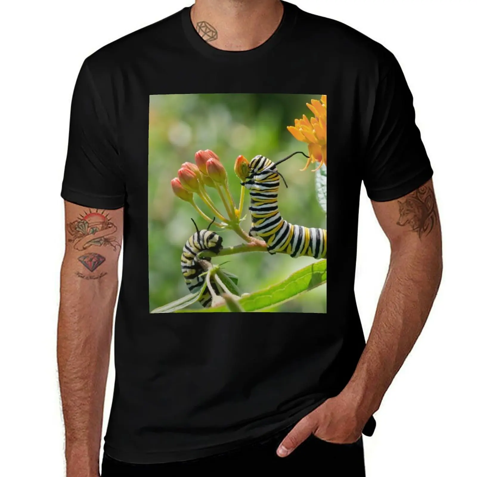 

dark t quality high Monarch shirts luxury man Caterpillars t prints funny shirts with humor shirts brand t T-Shirt