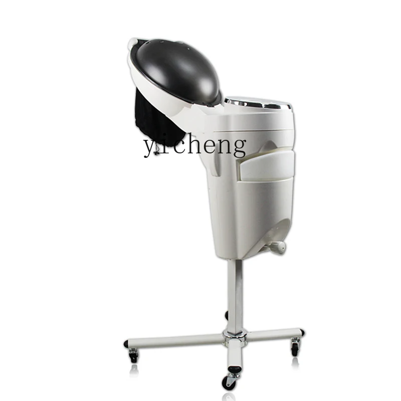 Tqh Ozone Micro Mist Machine Steam Care Hair Care Heater Biochemical Analyzer Barber Shop for Hair Salon