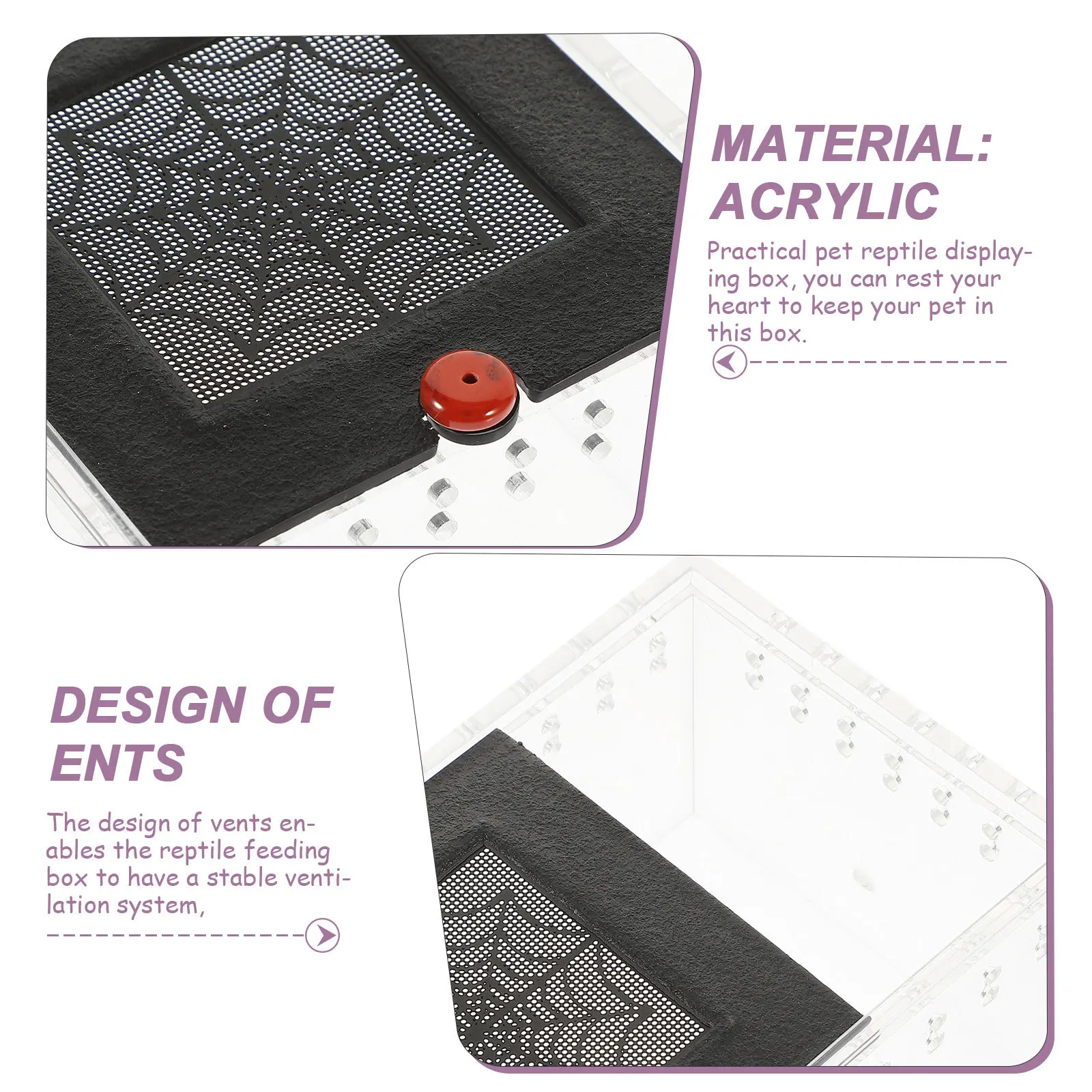 

Acrylic Reptile Feeding Box Clear Viewing Small Animal Enclosure with Ventilation for Spider Lizard Frog Tarantula Habitat