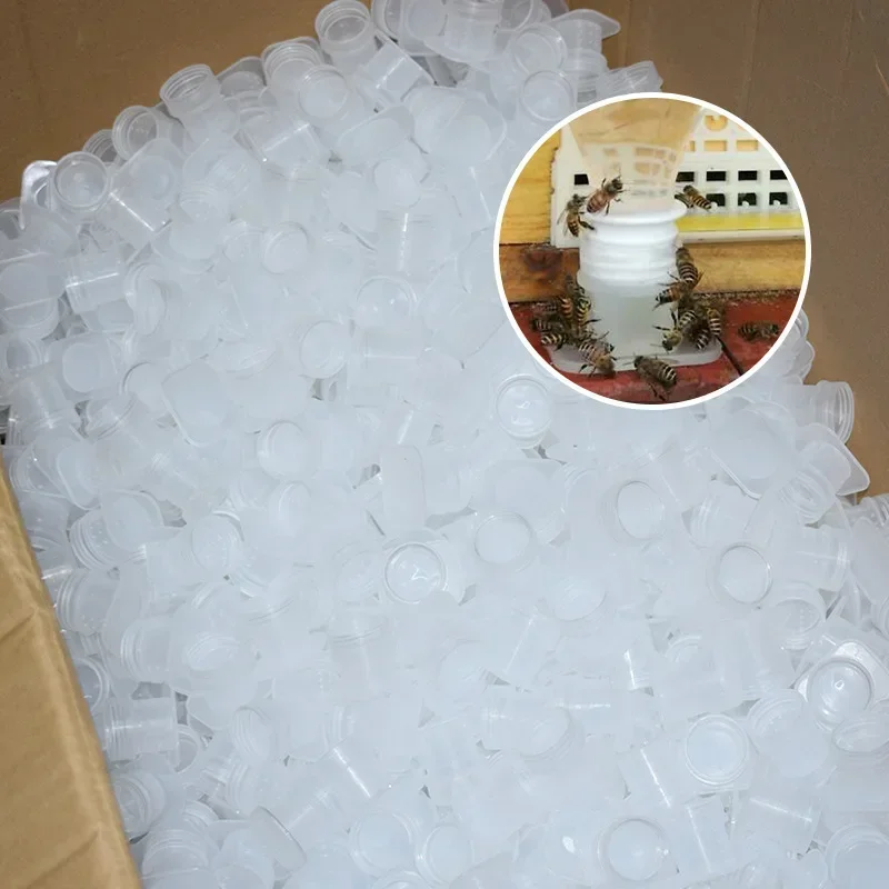 20PCS Beekeeping tool 2838 pinhole bottle cap water dispenser square bee water dispenser