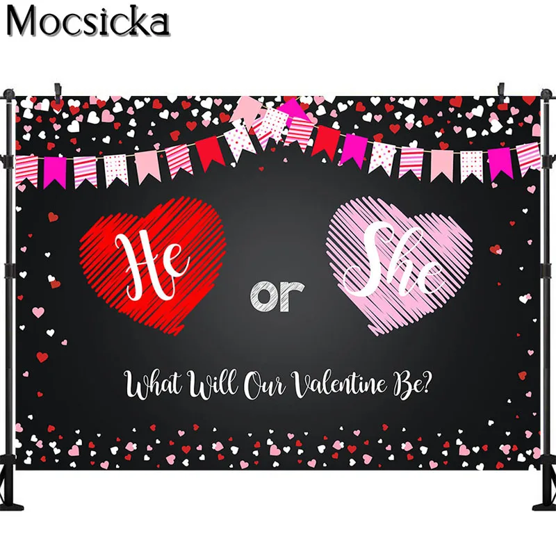 Mocsicka Gender Reveal Party Supplies Backdrop He or She Love Heart Backdrop Banner Baby Shower Photography Background Photozone