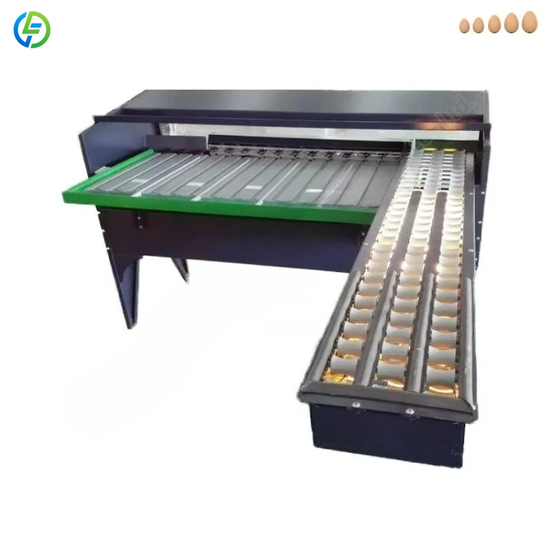 Factory Egg Sorter Machine Egg Grading Equipment Sorting Machine Customized