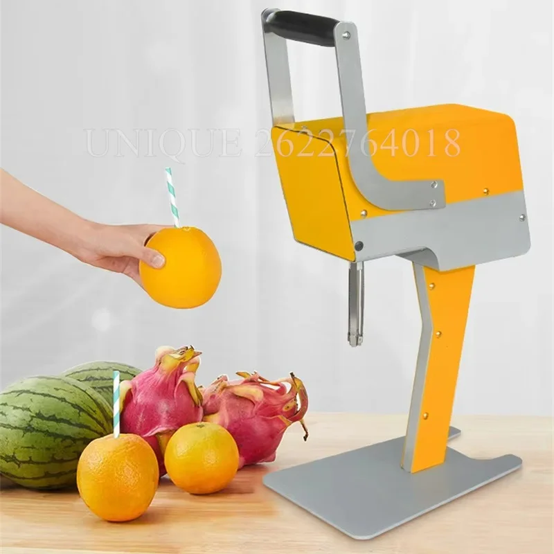 Multifunktion ale Frisch obst presse kommerzielle Orangensaft presse Extraktor Hersteller Pitaya Orangensaft hersteller DIY Frisch obst presse