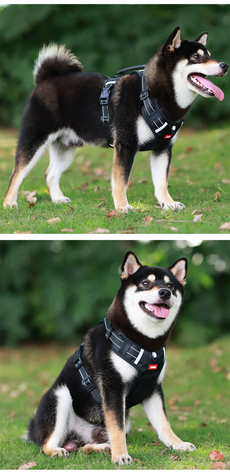 

New Dog Harness Pet Leash Reflective Explosion-Proof Small and Medium-Sized Dog Harness Anti-Breakaway Dog ​​Leash