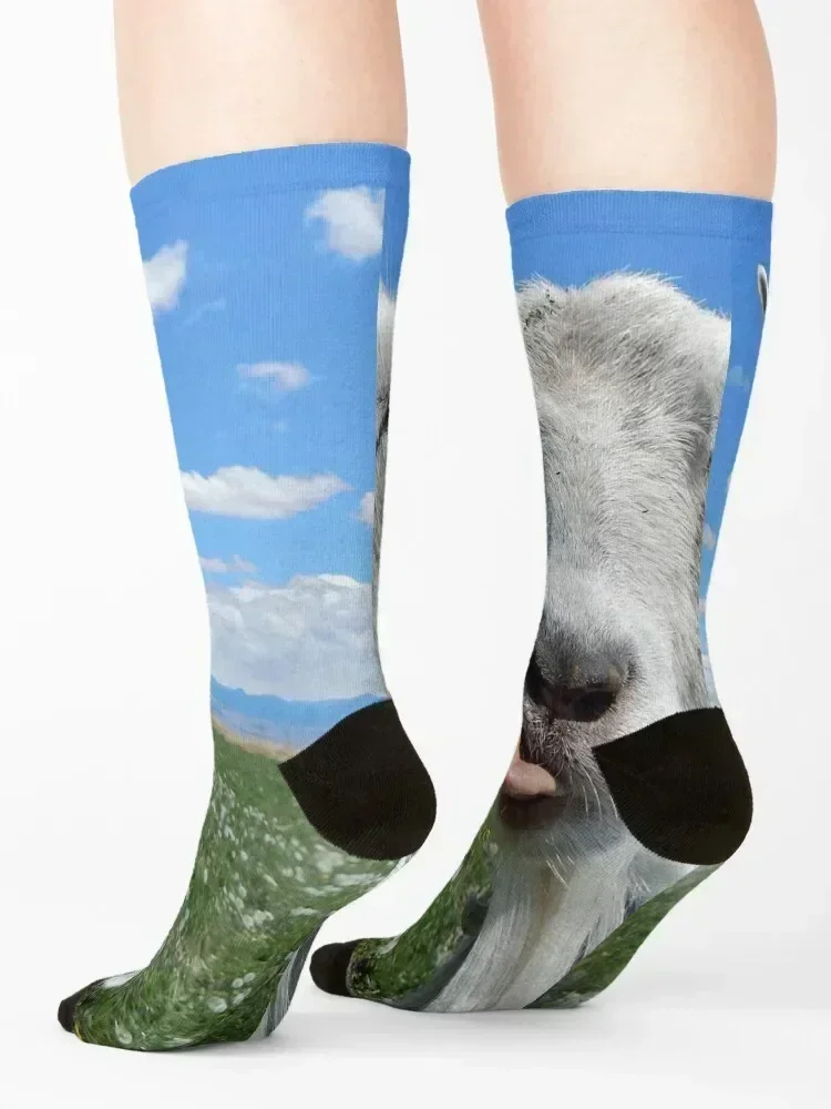 goat kisses, goat tongue Socks anti slip football basketball christmass gift Children's Ladies Socks Men's