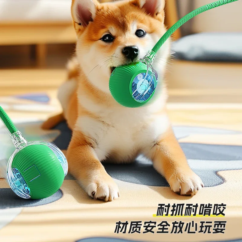 Dog toy automatic walking dog ball pet puppy self-hi to relieve boredom and bite resistance electric intelligent dog jumping