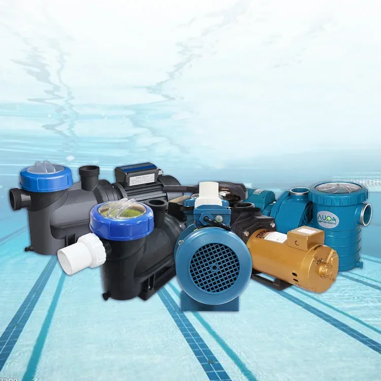 High Quality Swimming Pool Accessories Hot Sale Wholesale Pool Accessories