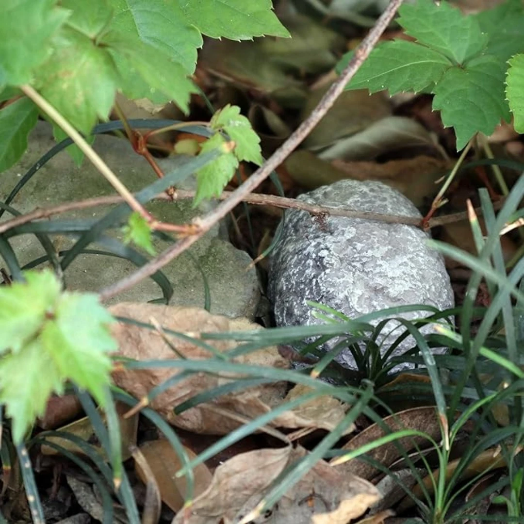 إخفاء مفتاح الصخور الحجر وهمية الغيار مفتاح إخفاء Geocache حاوية التخزين السرية تبدو تحويل حقيقي آمنة للحديقة الخارجية S #3