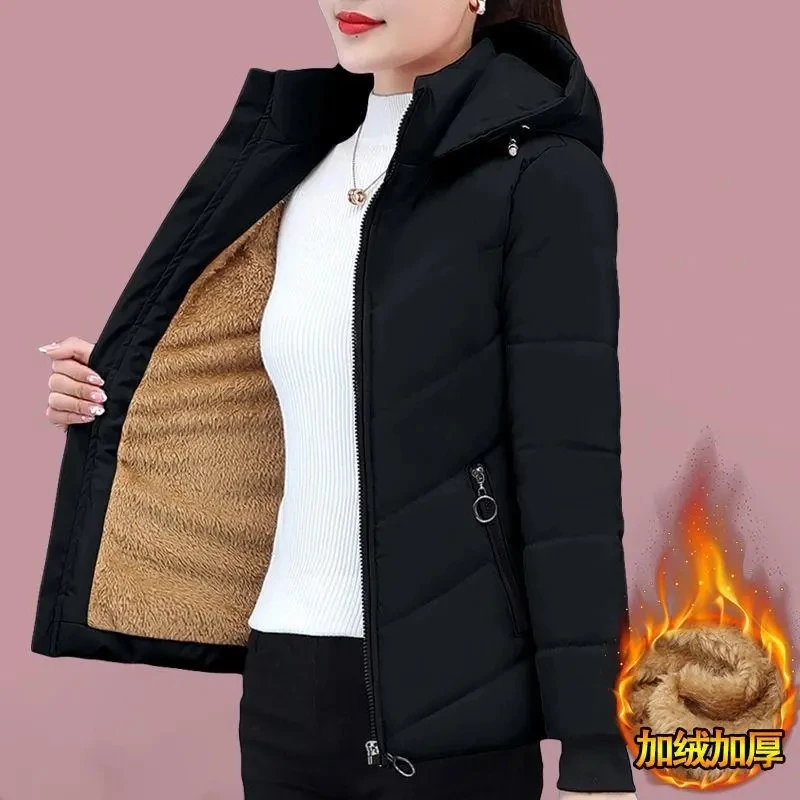 Feminino curto inverno lambswool para baixo jaqueta de algodão 2025 novo mais velet casaco de algodão quente coreano solto com capuz parkas outerwear