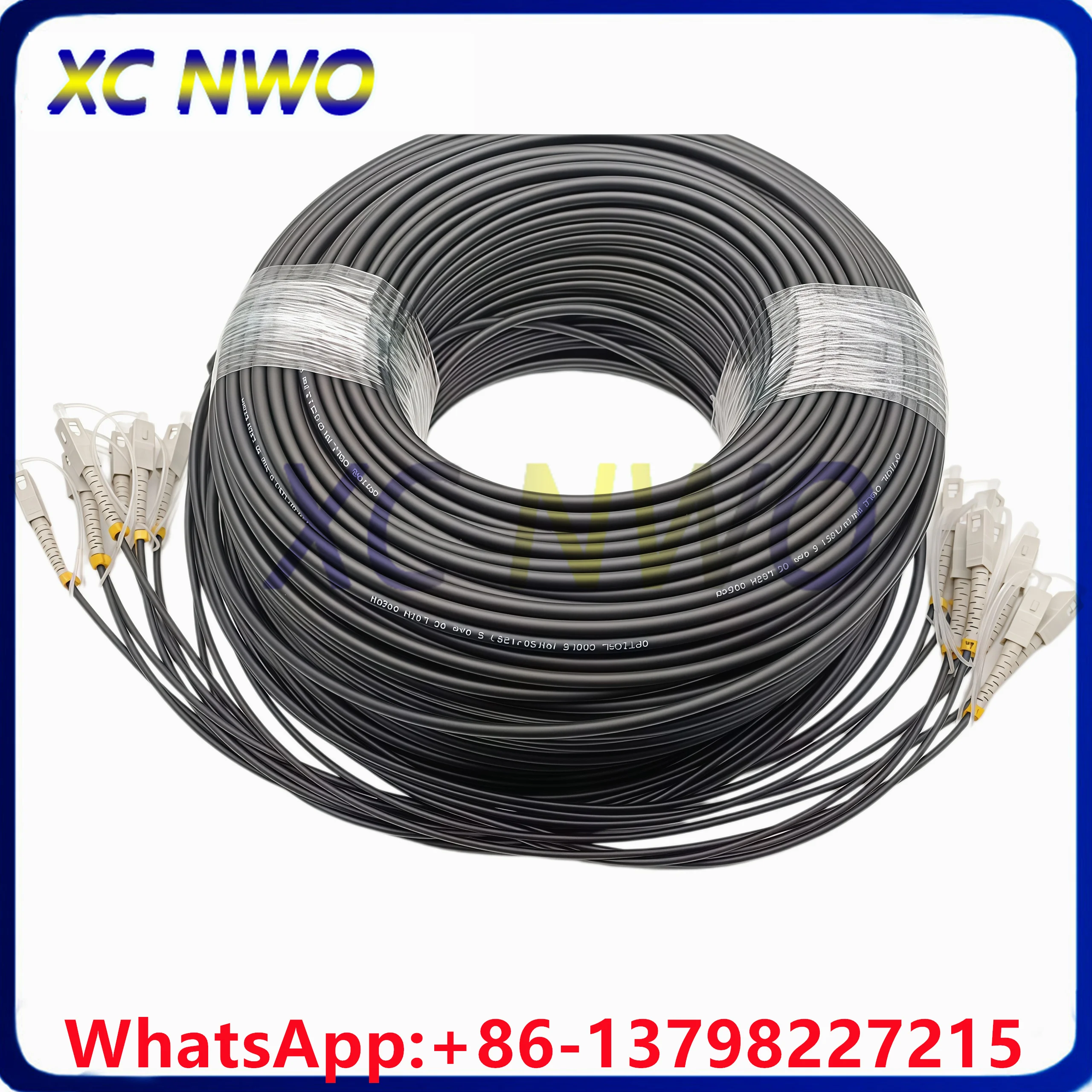 200M 8Core,SM,9/125,G657A,5.0mm LSZH Black Jacekt,2*PDLC4(Core)-2*PDLC/UPC (4Cores)Armored Fiber Optic Patch Cord