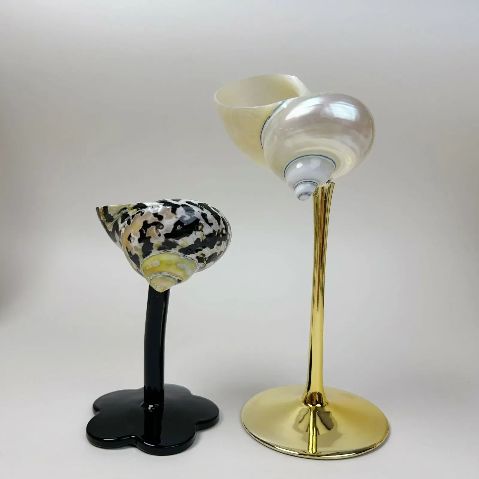 Conch Shell Champagne Glass Cup for Celebrations, Unique Drinkware for Adults Home Bar Wedding Favor Decoration Artistic Display