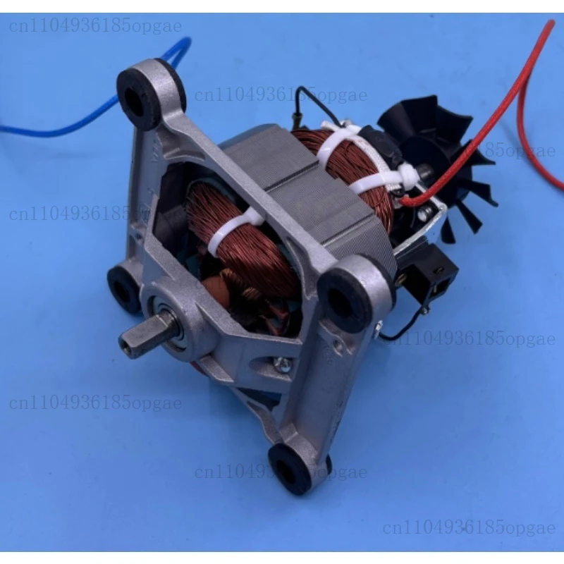 

Motor Smoothie Machine Mixer Motor Flat Shaft Motor