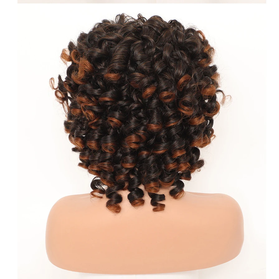 MSIWIGS Women's Short Black Ombre Brown Wig