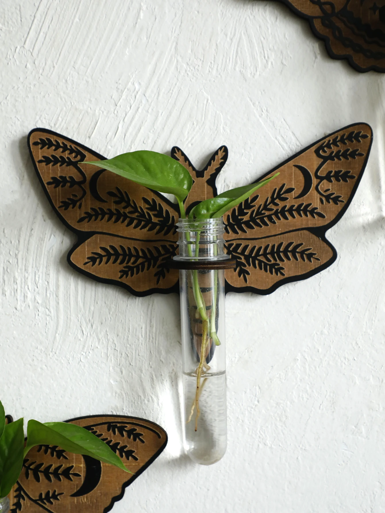 Butterfly Wall-Mounted Propagation Station，Wooden Hanging Plant Holder with Plastic Tubes for Indoor Plants, Hydroponic Planter