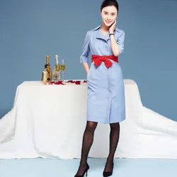 Air France Flight Attendant Uniform Front Desk Professional French Stewardess Dress Beauty Women's Airline Staff Uniforms