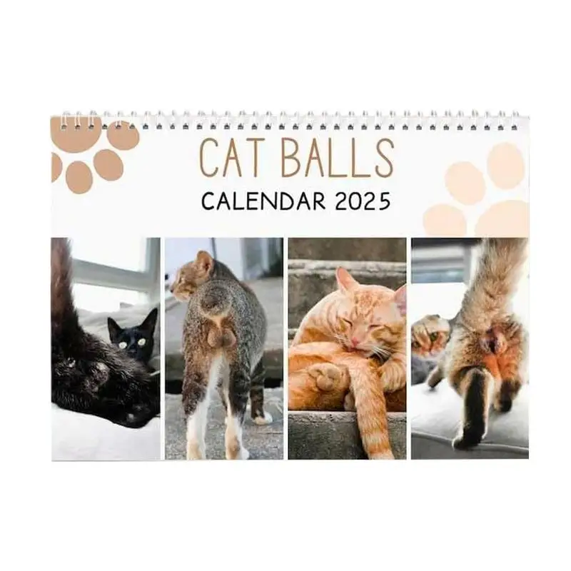 2025 Funny Hangable Paper Calendar Cat Balls Monthly Gag Humor Gift Prank Calendar for Home Livingroom Bedroom New Year Decor