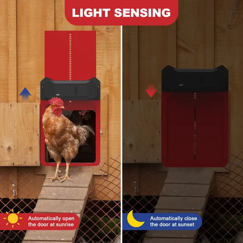 Automatic Chicken Coop Door Solar Powered Light Sensor Timer Remote Control Pet House Gate Security Access for Poultry Hen
